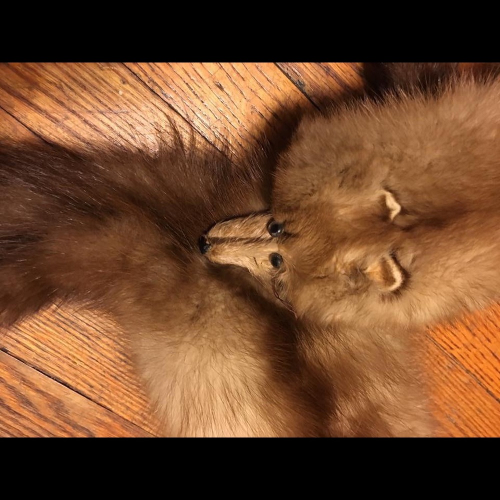 Mink Stole 3 Vintage Fur 40’s scarf - Picture 5 of 8